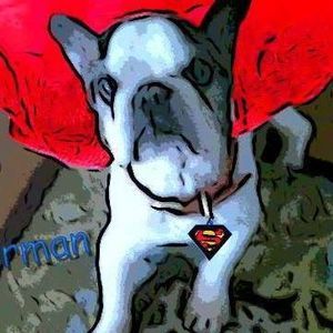 Meet your Posher, Jill